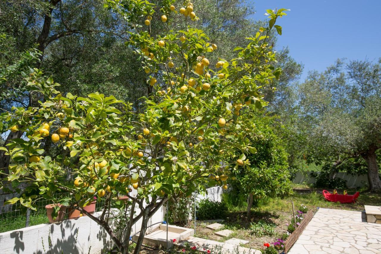 Karia Holiday Home 莱夫基米 外观 照片
